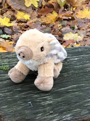 Emely, der kleine Frischling