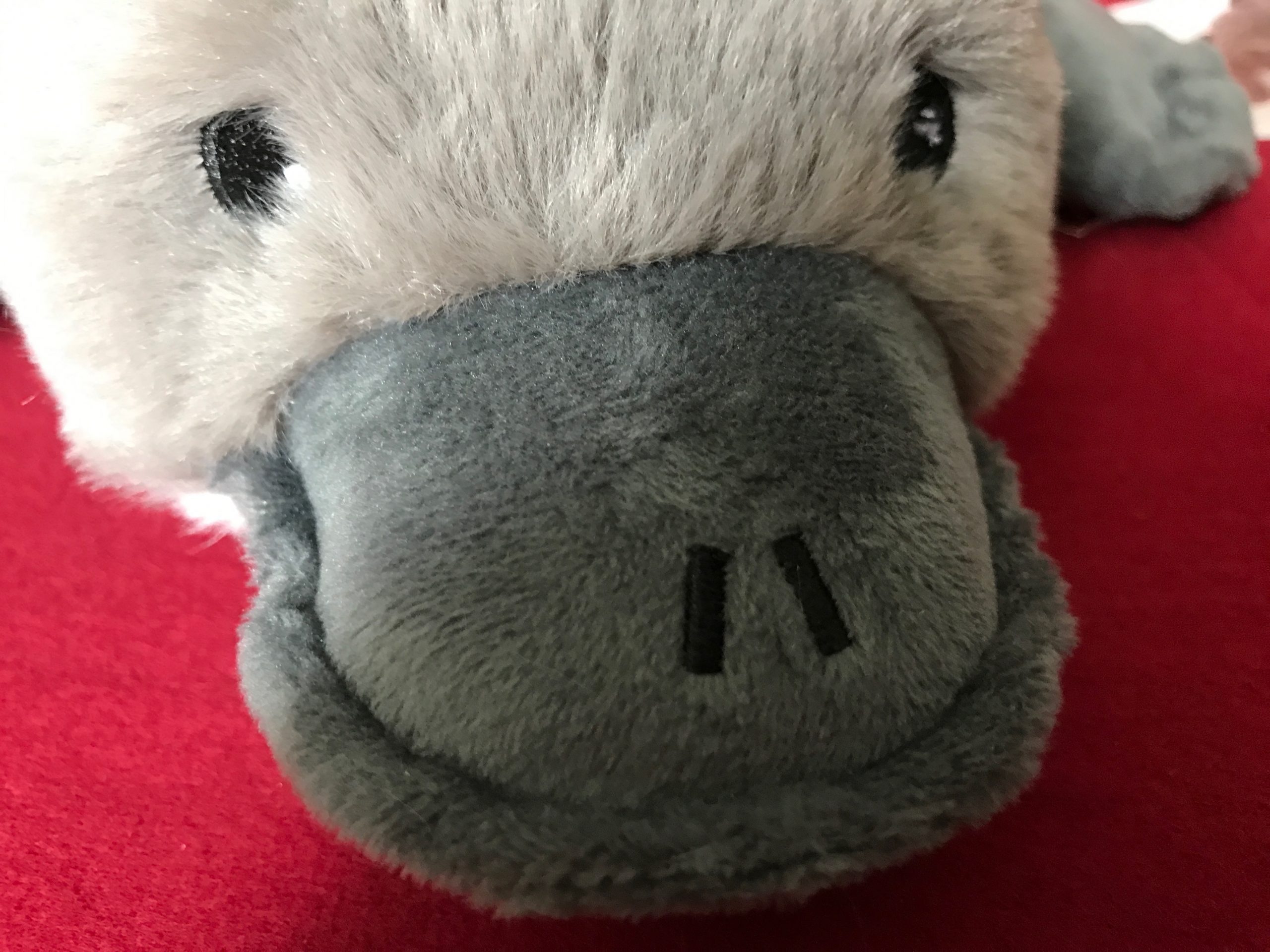 Robert - Schnabeltier - Warmestofftier -warmies